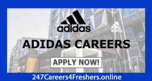 Adidas Careers